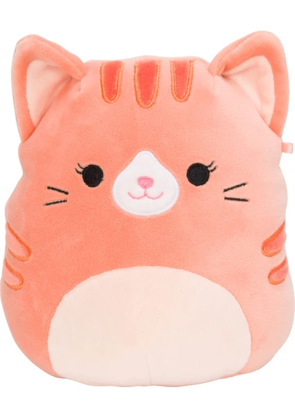 Squishmallow Tekir Kedi Gigi 20 cm