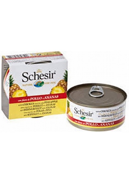 Fruit Tavuk Ve Ananaslı Yetişkin Köpek Konservesi 6x150 Gr