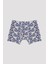 Çok Renkli Erkek Çocuk B. Trex 2li Boxer 4