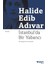 İstanbulda Bir Yabancı - Halide Edib Adıvar 1