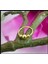 925 Ayar Gümüş 3 Top Gold & Silver 2 Adet Halka Hızma Set 2
