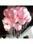 Parti Dolabı 20 Adet Metalik Şeker Pembe Balon Doğum Günü Helyumla Uçan 1