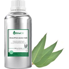 Etheloil Ökaliptus Uçucu Yağı - Etheloil - 500 gr -  ve  Uçucu Yağ -Üretici Firma, , Toptan Satış - Eucalyptus Essential Oil - Eucalyptus Globulus Labill