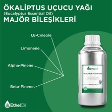 Etheloil Ökaliptus Uçucu Yağı - Etheloil - 500 gr -  ve  Uçucu Yağ -Üretici Firma, , Toptan Satış - Eucalyptus Essential Oil - Eucalyptus Globulus Labill