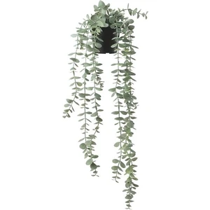 IKEA Okalüptüs Yapay Bitki Okaliptüs Bitkisi 9 cm