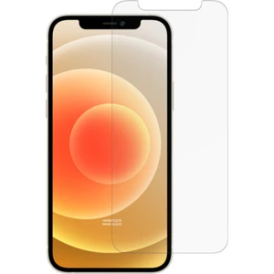Apple Iphone 12 Şeffaf Temperli Cam Maxi Glass Ekran Koruyucu