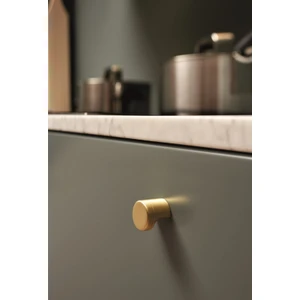 Furnipart Düğme Kulp Poınt 028MM Fırçalı Altın