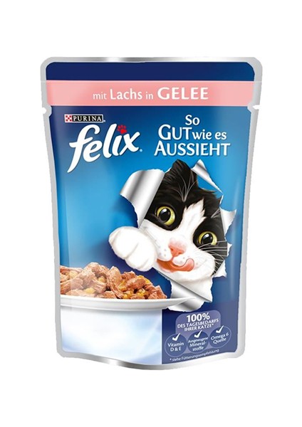 Felix Somonlu Pouch Yaş Kedi Maması 100 gr