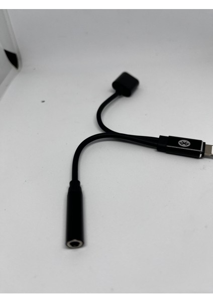 Lighting 2’in1 Adapter