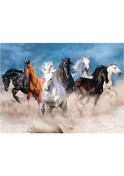 Visual Arts Horses Puzzle Yapboz - 1000 Parça