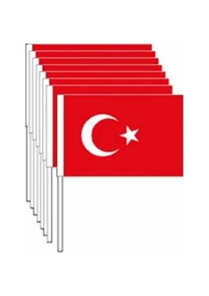 Sopalı Türk Bayrağı 100 Lü