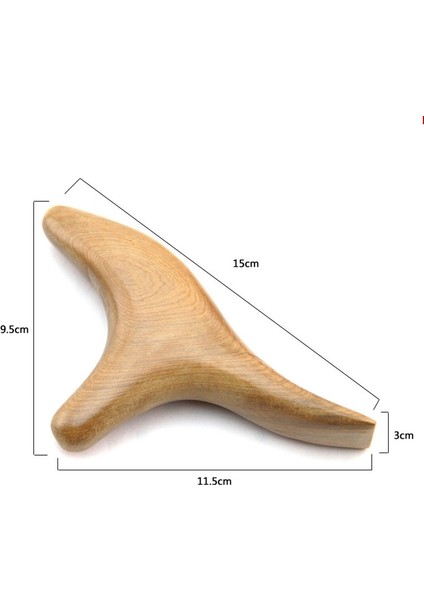 Vücut Trigeminal Terapi Masajı (Yurt Dışından)