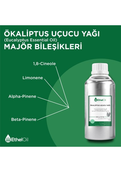 Ökaliptus Uçucu Yağı - Etheloil - 500 gr - ve Uçucu Yağ -Üretici Firma, , Toptan Satış - Eucalyptus Essential Oil - Eucalyptus Globulus Labill