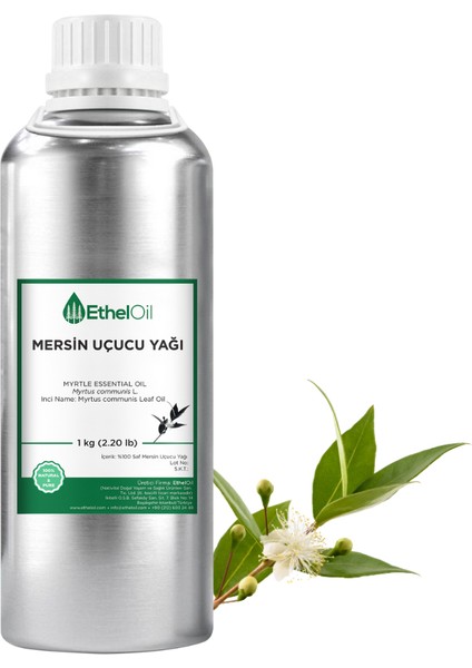 Mersin Uçucu Yağı - Etheloil - 1 kg - ve Uçucu Yağ - Üretici Firma, , Toptan Satış - Myrtle Essential Oil - Myrtus Communisl