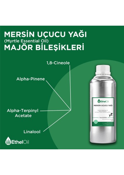 Mersin Uçucu Yağı - Etheloil - 1 kg - ve Uçucu Yağ - Üretici Firma, , Toptan Satış - Myrtle Essential Oil - Myrtus Communisl fırsatları