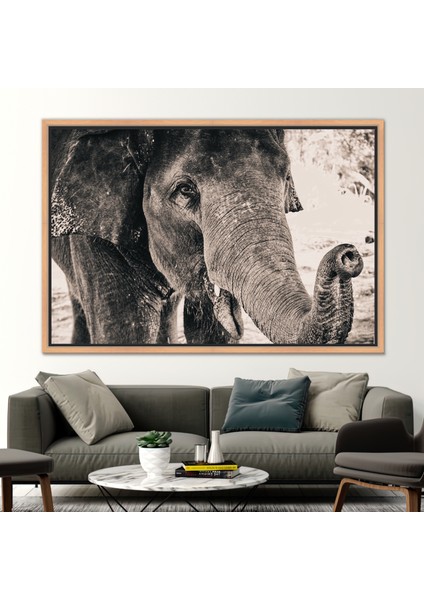 1 Parça Naturel Çerçeveli Kanvas Tablo, Fil Fotoğraf Baskısı, Fil Fotoğraf Kanvas Poster, fiyatları