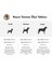 Miwok - Deri Köpek Boyun Tasması 2
