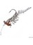 Pandora Caridina 7,6 cm 6,5 gr Yapay Sahte Silikon Karides Yem 1