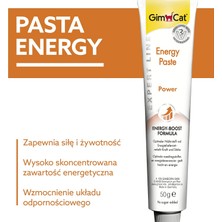 Energy Paste Kedi Macunu 50GR