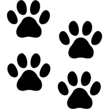 Lizpo Decor Kedi Patisi Oto Sticker, Araba Sticker, Araç Sticker 20 cm x 20 cm 8 Adet Gönderim