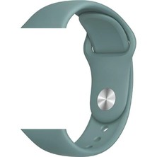 Heptek İletişim Apple Watch 42MM Akıllı Saat Kordon Klasik Gösterişli Kordon(Colurful)