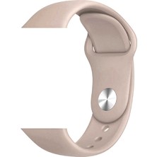 Heptek İletişim Apple Watch 42MM Akıllı Saat Kordon Klasik Gösterişli Kordon(Colurful)