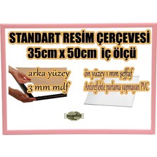 MİXEFOR Boş Çerçeve - 35CM x 50CM Iç Ölçü -Renk PEMBE-Arka Yüzey 3mm Mdf-  Ön yüzey  Kırılmaz  parlama yapmayan Antireflektif