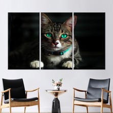 Kayra Export 3 Parçalı Kanvas Tablo, Güzel Kedi Kanvas Baskı, Hayvan Duvar Süsü, Sevimli Kedi Duvar Dekoru,