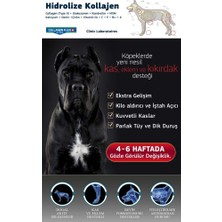 Canina Flex Collagen Glukozamin 2 Adet Köpekler Için Yeni Nesil Kemik Kas Eklem ve Kıkırdak Desteği.