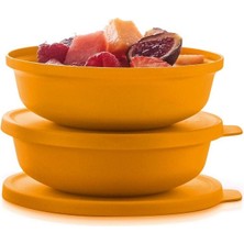 Tupperware Aloha Saklama Kabı 2X450 ml Servis Kabı Hsgl