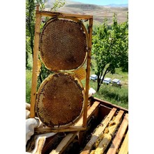 Kara Kovan Balı  1200 gr