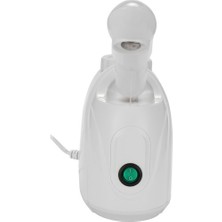 Linming 350W Yüz Için Buhar Makinesi (Yurt Dışından)