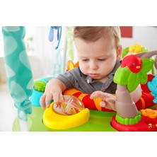 Fisher-Price CHM91 Fisher-Price® Yağmur Ormanı Jumperoo