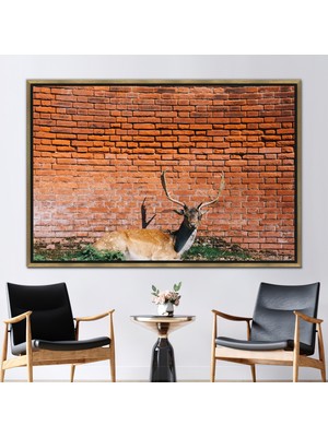 Kayra Export 1 Parça Gold Çerçeveli Kanvas Tablo, Hayvan Fotoğrafı Duvar Süsü, Geyik Fotoğrafı Hediye Kanvas,