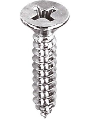 Norm Din A2 Paslanmaz Inox Yhb Sac Vidası 4.8X38 20 Adet Aynı Gün Kargo