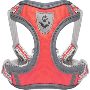 Köpek Armalı Göğüs Tasması Gezdirmeli Small