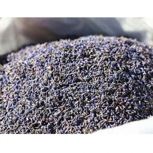 Yeni Mahsül Lavanta Kurusu 1000 gr