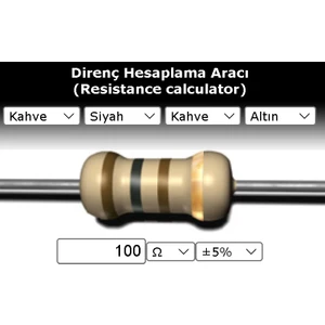 OEM 100 R (Ohm) Direnç 1/4 Watt