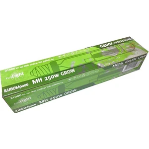 Pure Light 250W Mh Gelişim Dönemi