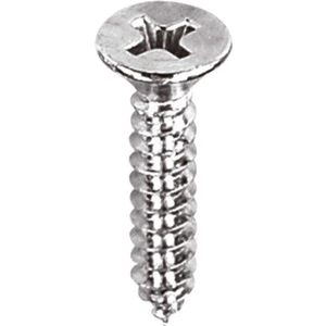 Din A2 Paslanmaz Inox Yhb Sac Vidası 4.2X22 20 Adet
