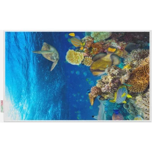 Tropik Home Tropikhome Akvaryum Desenli 50X80 Dijital Baskılı Püsküllü Polyester Kaymaz Tabanlı Banyo Paspası