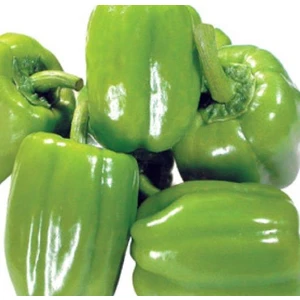 Karahasanoğlu Tarım Yerli Ata Tohumu  Biber 100 Adet