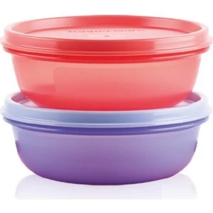 Buzdolabı Saklama Kabı 2X300 ml Şeker Kaplar Hsgl