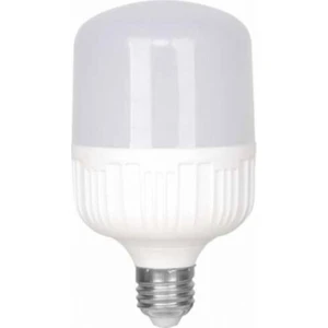 LED Torch Ampul 20 Watt Beyaz Işık Aydınlatma Lambası 10 Ad