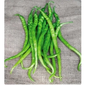 Karahasanoğlu Tarım Yerli Ata Tohumu Acı Kıl Biber 100 Adet