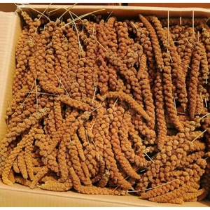 Eren Pet Doğal Üretim Kızıl Dal Darı 500 gr