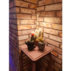 Orion Led LED Lamba DC5V USB Phytolamp Tam Spektrumlu Bitki Lamba Tek Melek Halka Günışığı -Hidroponik