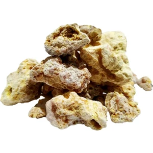 Çam Sakızı 100GR
