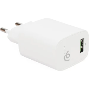 Ag-28 12W Hızlı Şarj Aleti USB To Micro USB