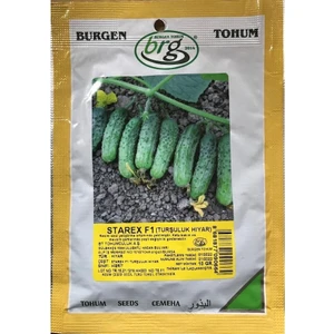 Burgen Tohum Starex F1 Turşuluk Hıyar Tohumu 10 Gr Burgen Tohum
